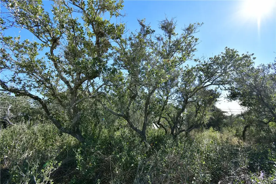 241-242 Post Oak Lane, Rockport, TX 78382 - Image #3