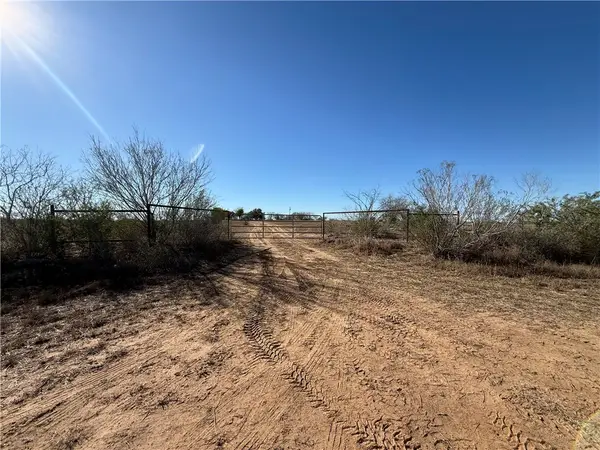 TBA County Road 440, Alice, TX 78332