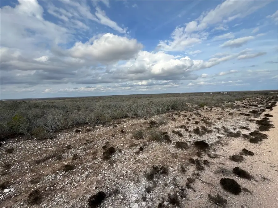 256 Coyote Crossing, San Diego, TX 78384 - Image #3