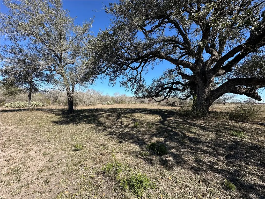 TBD Highway 181 N, Beeville, TX 78102 - Image #1
