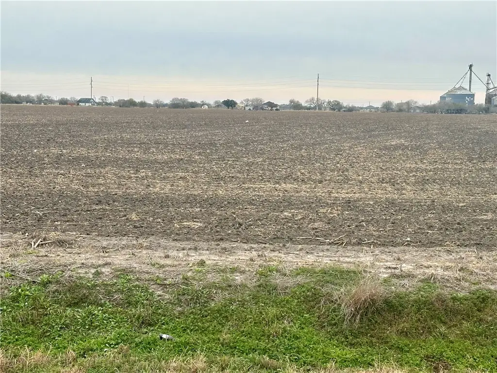 000 Hwy 44, Banquete, TX 78339 - #1