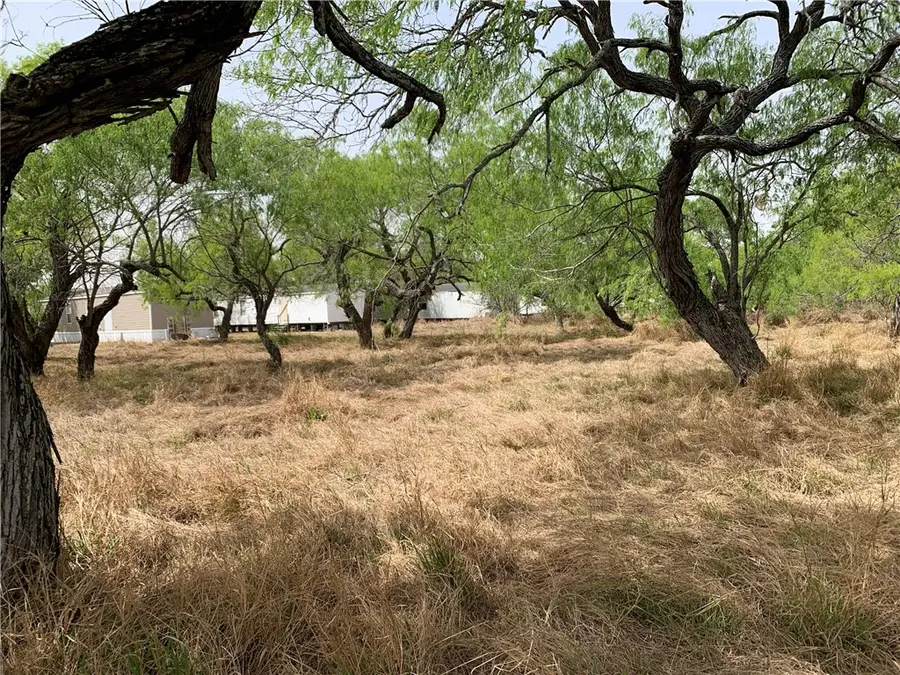 480 W Corral Avenue, Kingsville, TX 78363 - #2