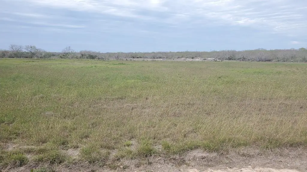 Lot 3 T-head Drive, Riviera, TX 78379 - Image #1