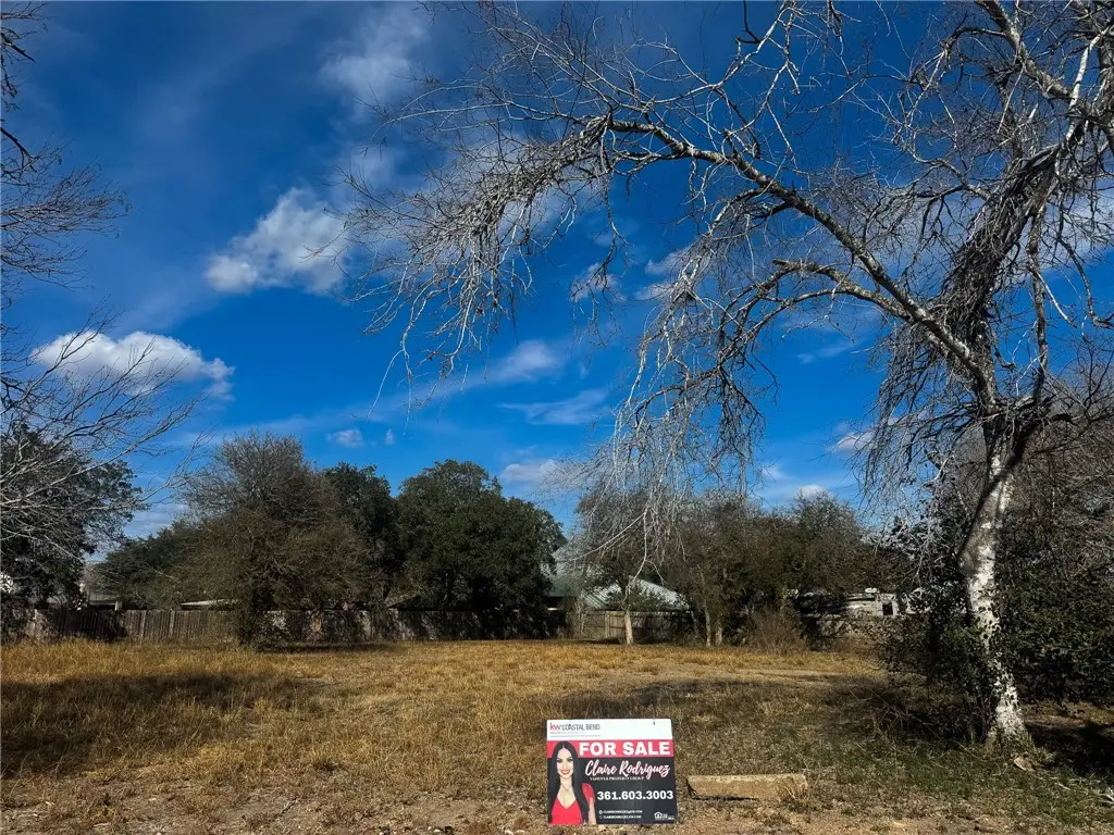 00 Santa Rosa Drive, Alice, TX 78332 - #1