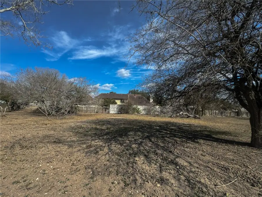 00 Santa Rosa Drive, Alice, TX 78332 - #2