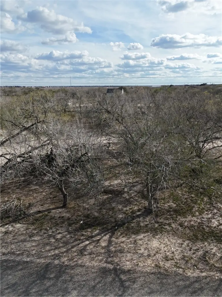 TBD Cr 3053, Orange Grove, TX 78372 - #3