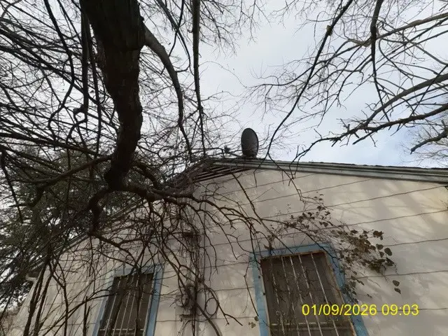 661 W Millett, Dallas, TX 75232 - Image #3