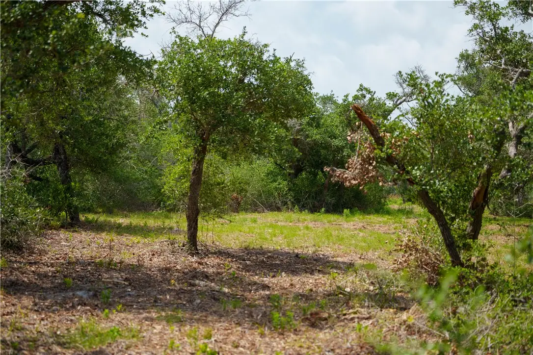 704 State Highway 35 Highway, Rockport, TX 78382 - Image #1