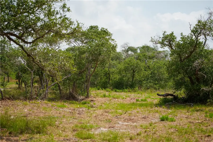 704 State Highway 35 Highway, Rockport, TX 78382 - Image #2