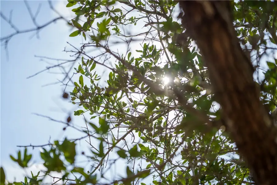 704 State Highway 35 Highway, Rockport, TX 78382 - Image #3