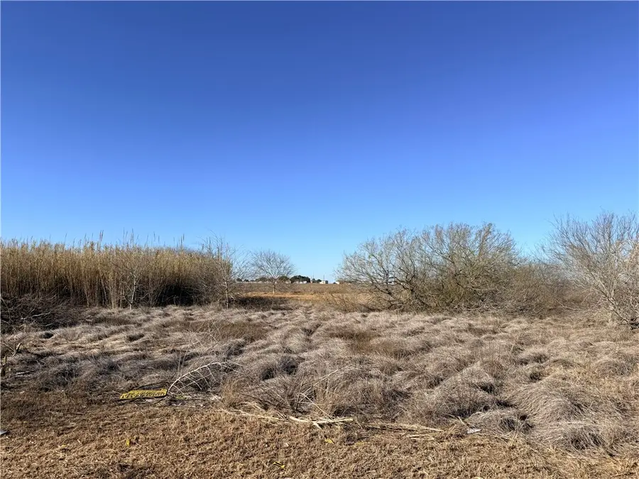 00 Oregon Street, Bishop, TX 78343 - #2