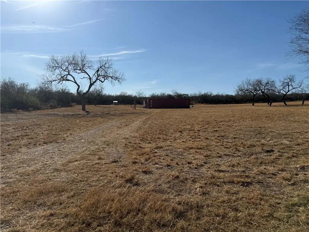 360 Co Road 175, Sandia, TX 78383 - #1