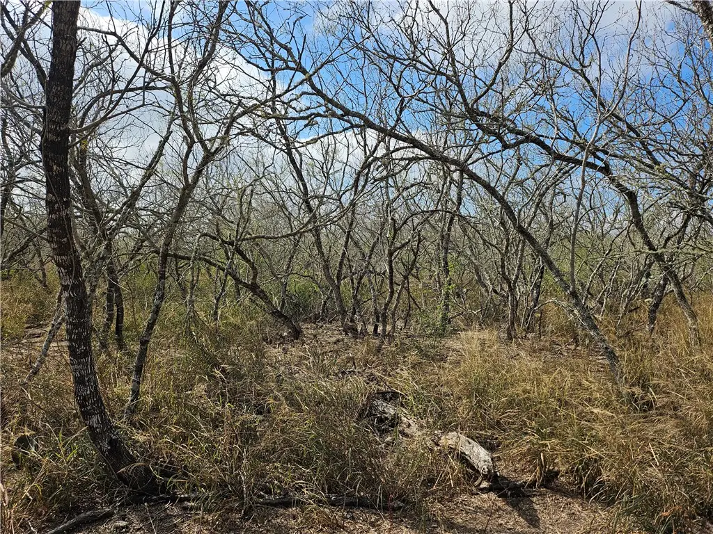 110.9 Cr 229, Concepcion, TX 78349 - #1