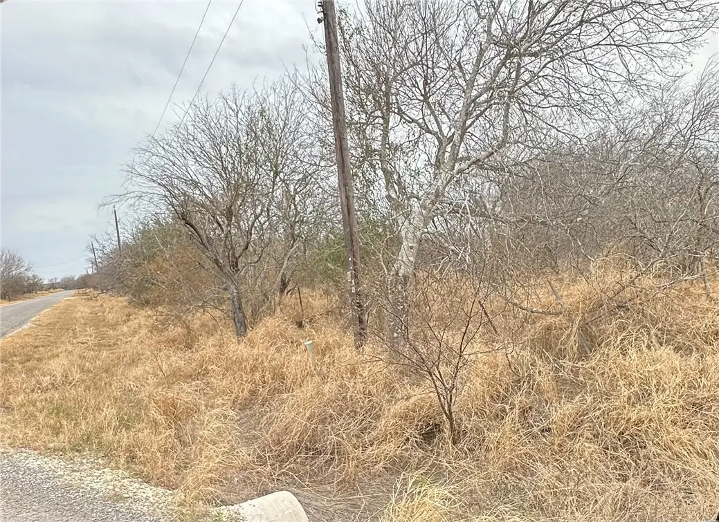 71491/2 County Road 2379, Sinton, TX 78387 - #1