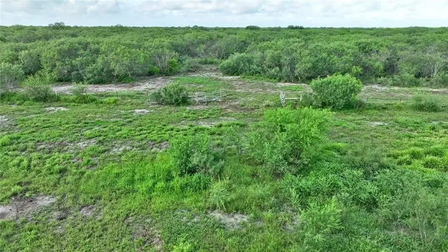 TBD W Cr 2170, Ricardo, TX 78363 - #3