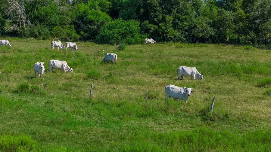 00 Black Bayou Rd Road, Bloomington, TX 77951 - #2