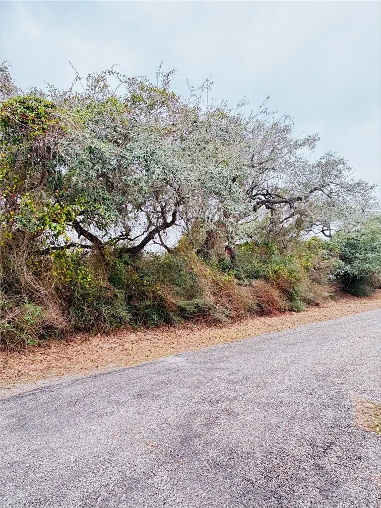 38 Oakshore Loop, Rockport, TX 78382 - #1