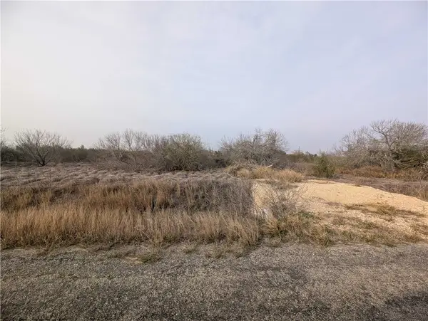 0 Cr-14e Circle, Bishop, TX 78343