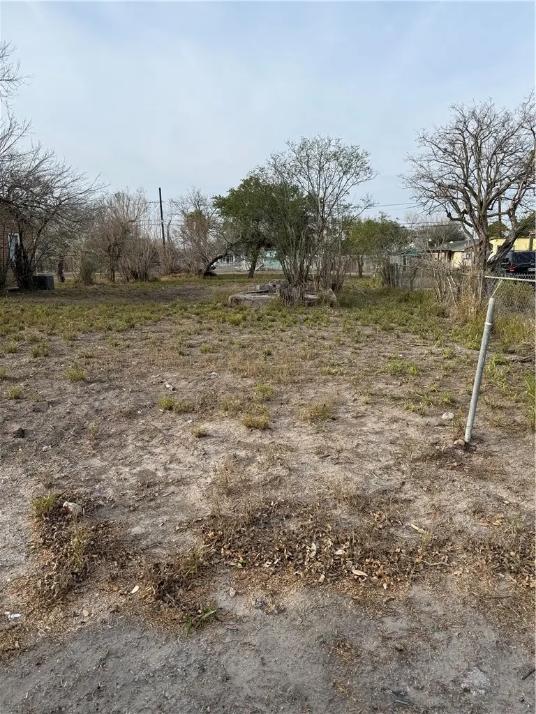 1248 E Nettie Avenue, Kingsville, TX 78363 - #3