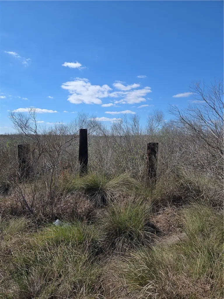 201 La Lucia, Port Lavaca, TX 77979 - #3