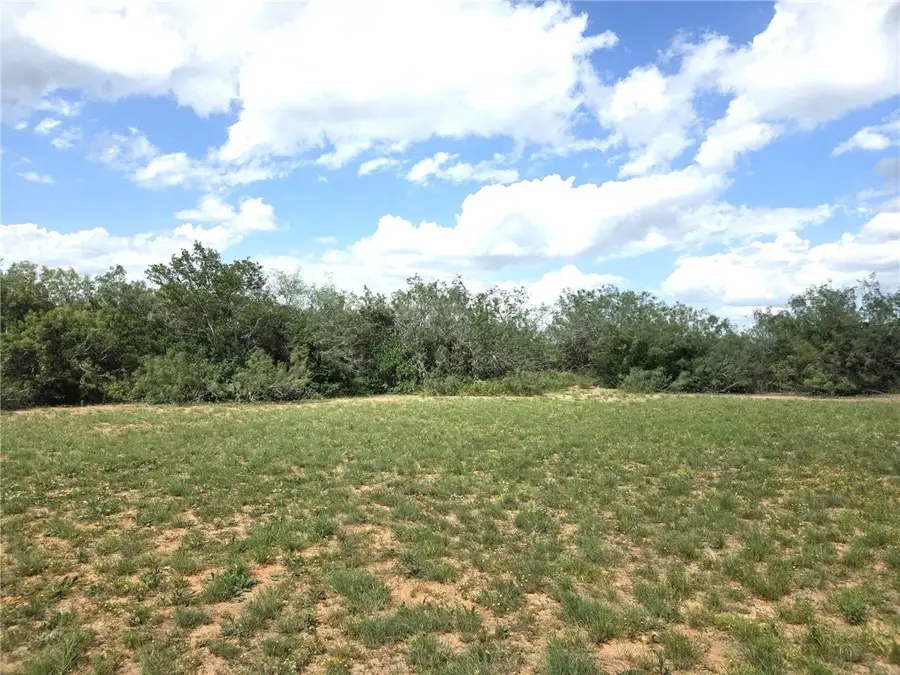 584 County Road 223, Rios, TX 78349 - #2