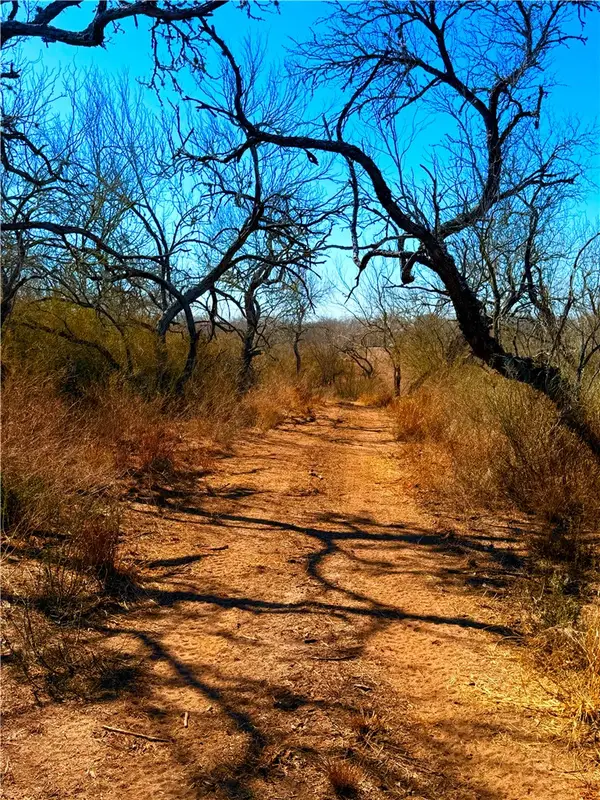 0 Tract 13 San Diego Creek Ranch, San Diego, TX 78384