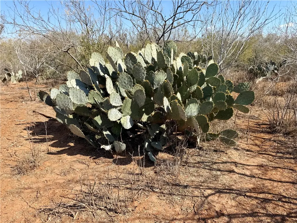 0 County Road 101, San Diego, TX 78384 - #1