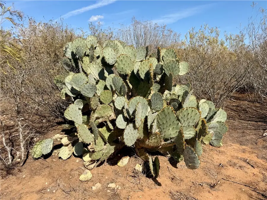 0 County Road 101, San Diego, TX 78384 - #2