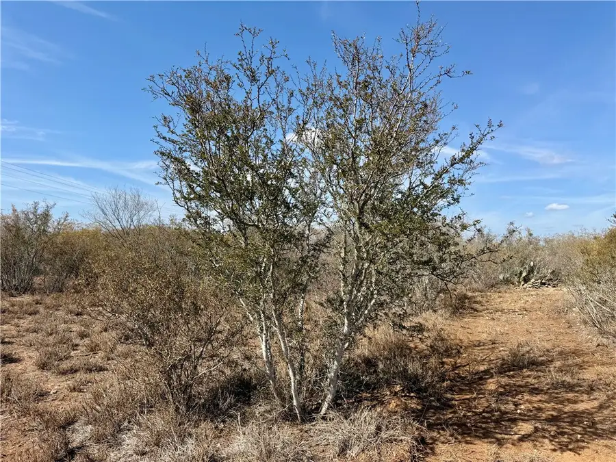 0 County Road 101, San Diego, TX 78384 - #3