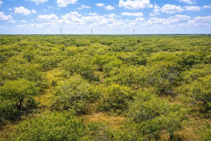 TBD Zinnia Road, Other, TX 78580 - #3