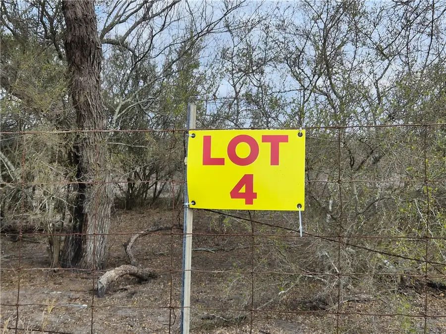 Lot 4 2180 County Road E, Kingsville, TX 78363 - #2