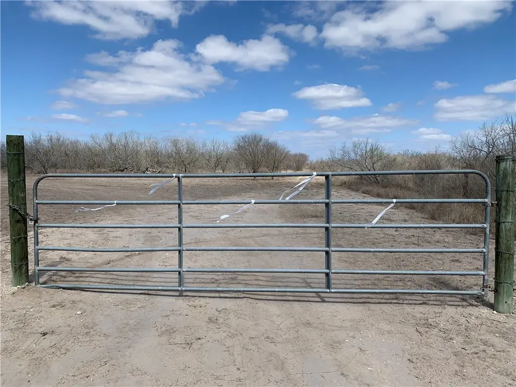 000 County Rd 207, Concepcion, TX 78349 - #1
