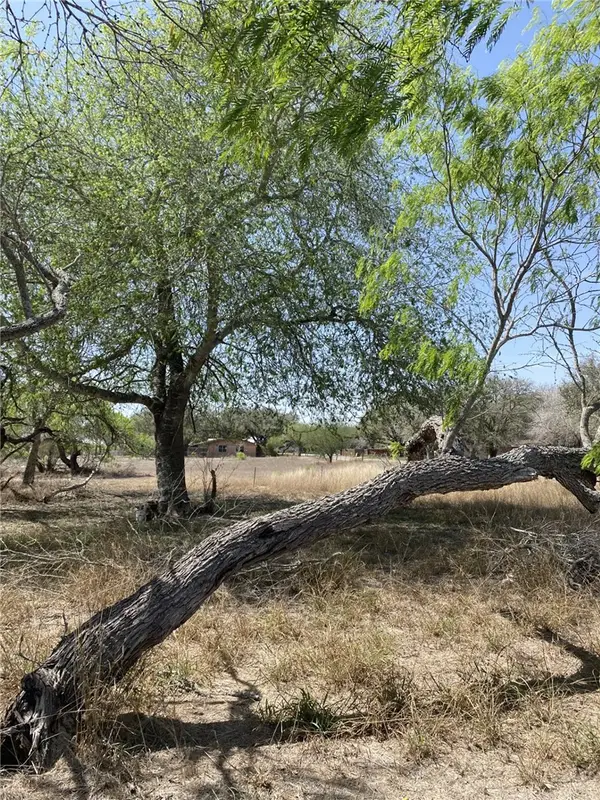 601 SW S Cr 430 (& Sw 10th), Premont Street, Premont, TX 78375