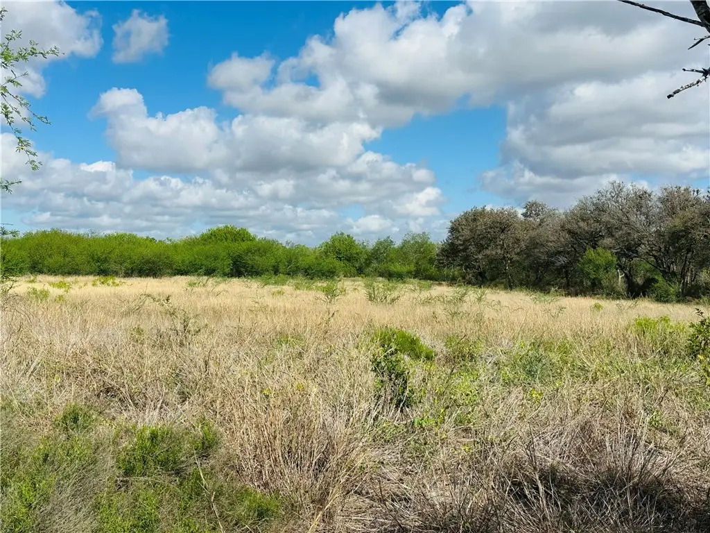 Address Withheld By Seller, Mathis, TX 78368 - #1