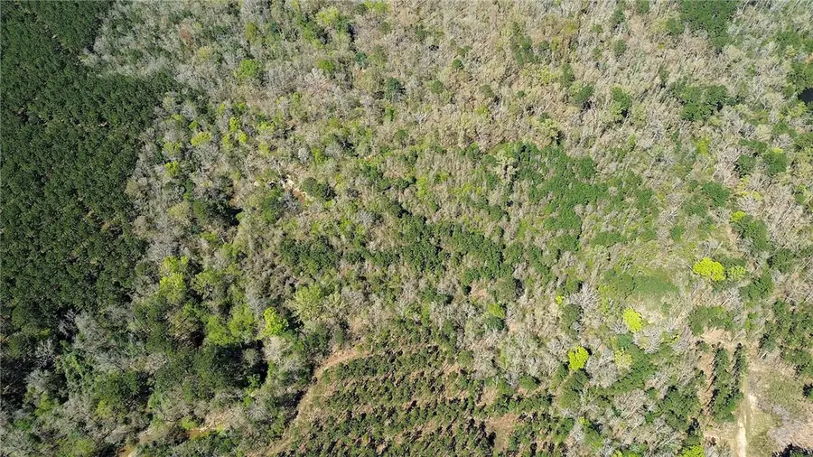 000 Fm 1012, Newton, TX 75966 - #2