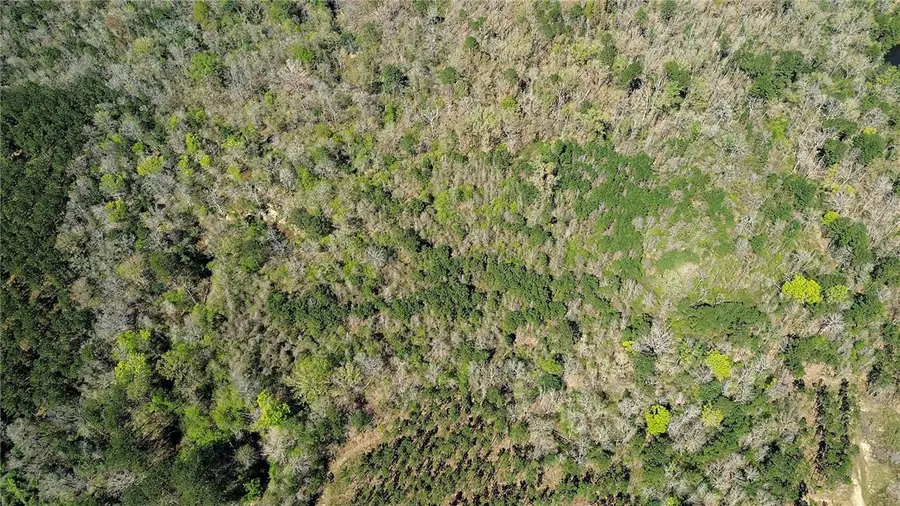 000 Fm 1012, Newton, TX 75966 - #3