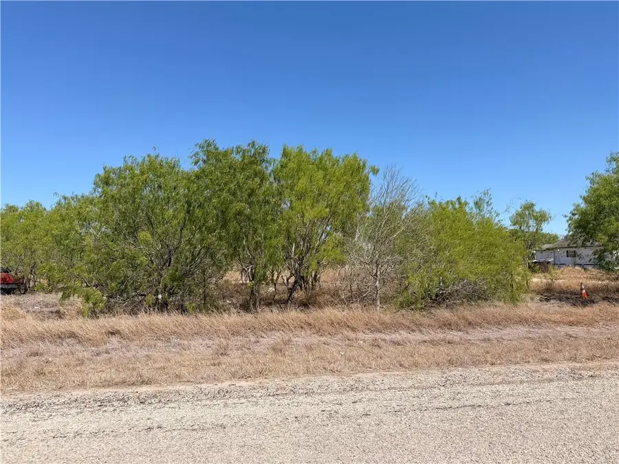 00 La Paloma Drive, Bishop, TX 78343 - #2