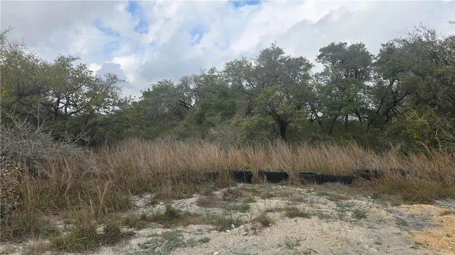 824 Alcala, Aransas Pass, TX 78336 - #2