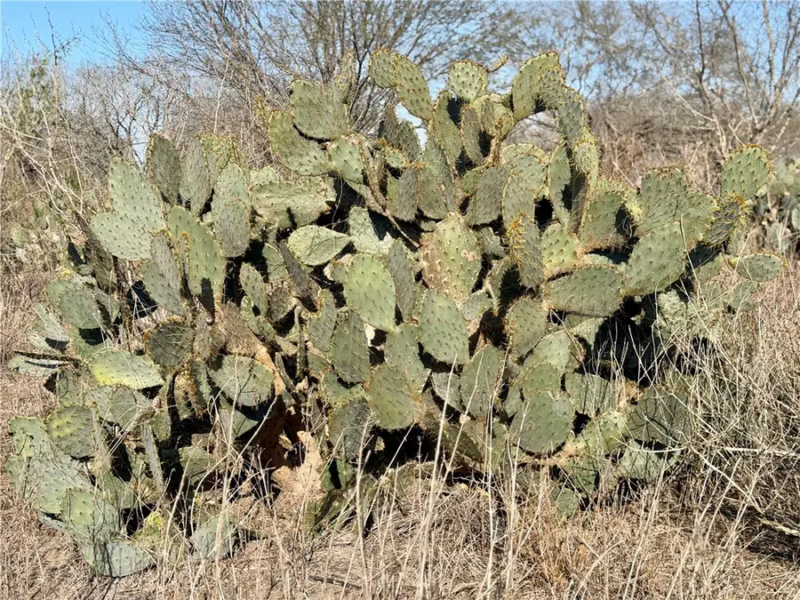 0 Cr 119, Alice, TX 78332 - #2