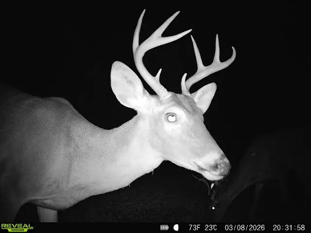 0 Cr 103, San Diego, TX 78334 - #1