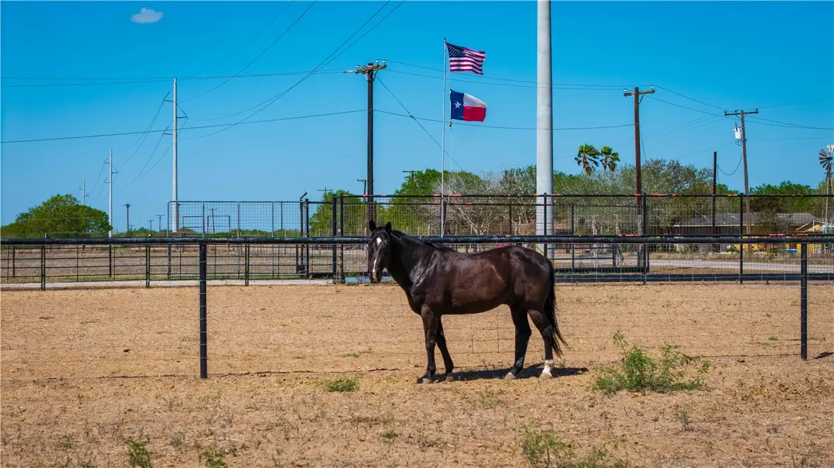 200 W County Road 418, Premont, TX 78375 - #1