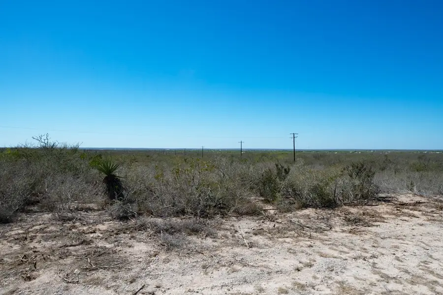 TBD Cr 325, Freer, TX 78357 - #3