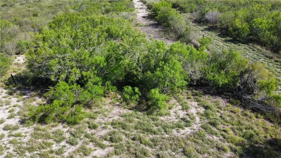 TBD Jd White Rd, Freer, TX 78357 - #3