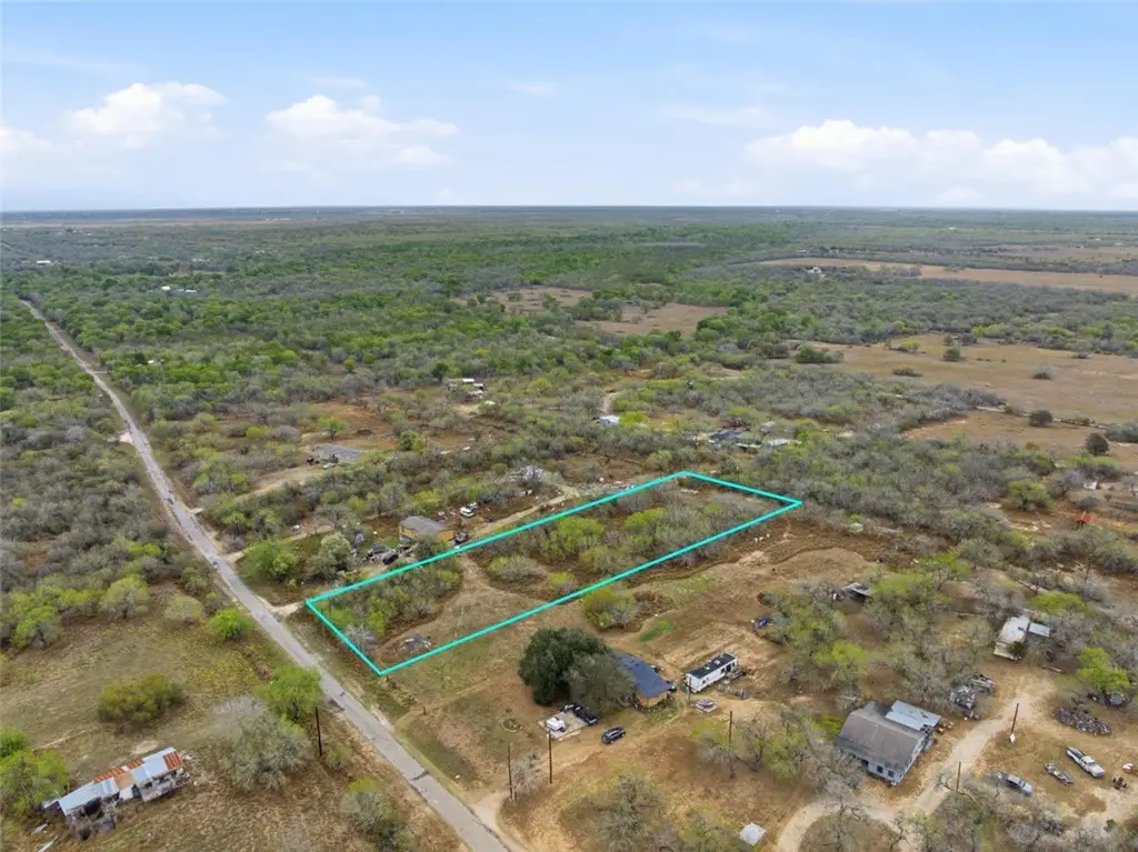 266 County Rd 362, Sandia, TX 78383 - #1