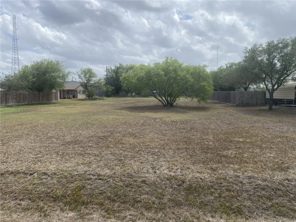000 Herschap Street, Orange Grove, TX 78372 - #1