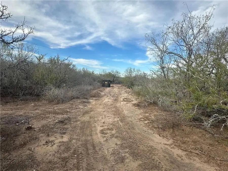 0 Highway 72, Three Rivers, TX 78071 - #3