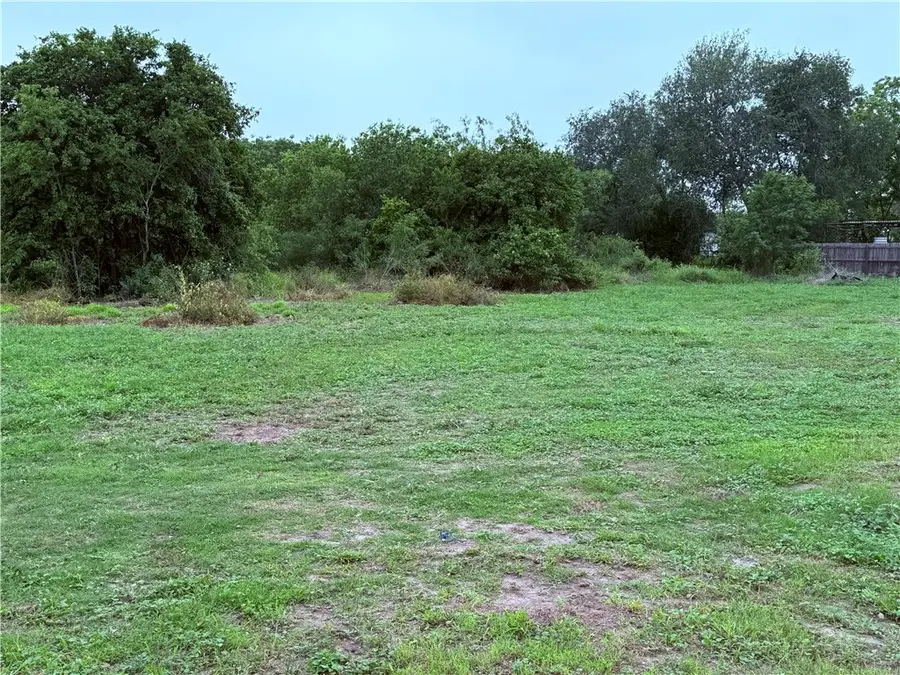 000 Olmito Street, Alice, TX 78332 - #3