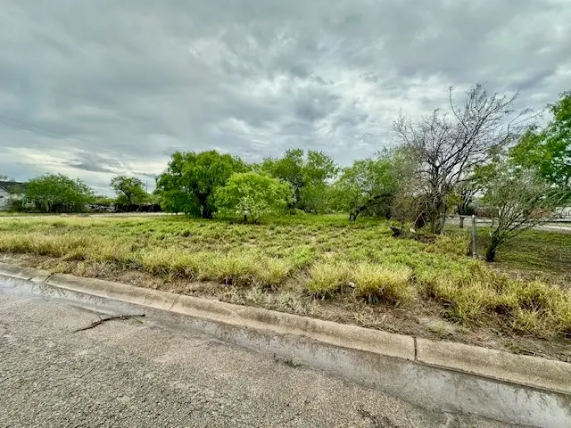 701 W Warren Avenue, Kingsville, TX 78363 - #3