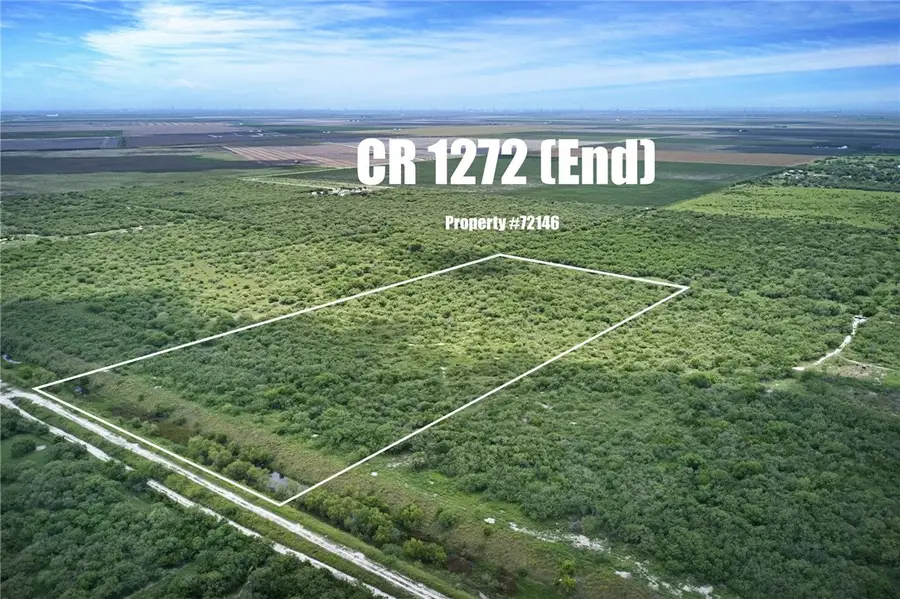 CR 1272 (end), Sinton, TX 78387 - #2