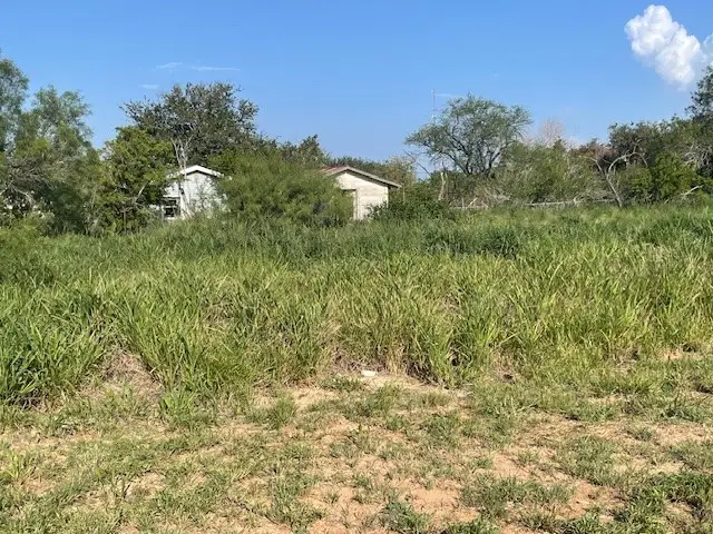 301 E Harald Street, Hebbronville, TX 78361 - #3